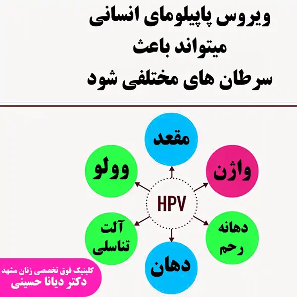 ویروس پاپیلومای انسانی (HPV)